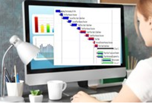 Planificación y control de proyectos con primavera p6, básico (16 horas)